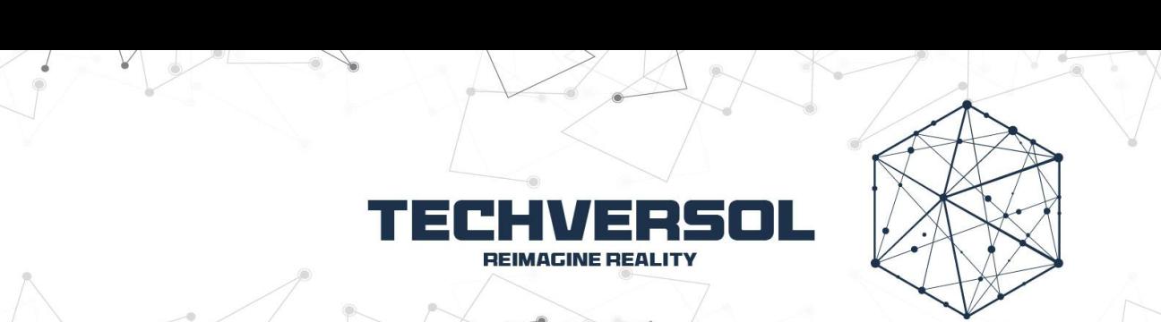 Techversol  Inc