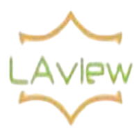 Laview Camera Login