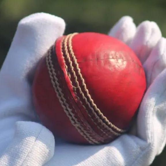 T20 Live