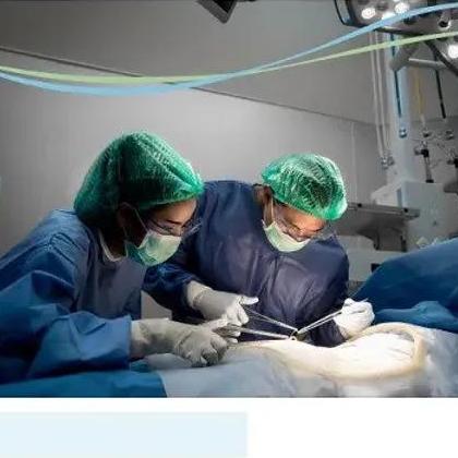 Gynaecologist Oncology